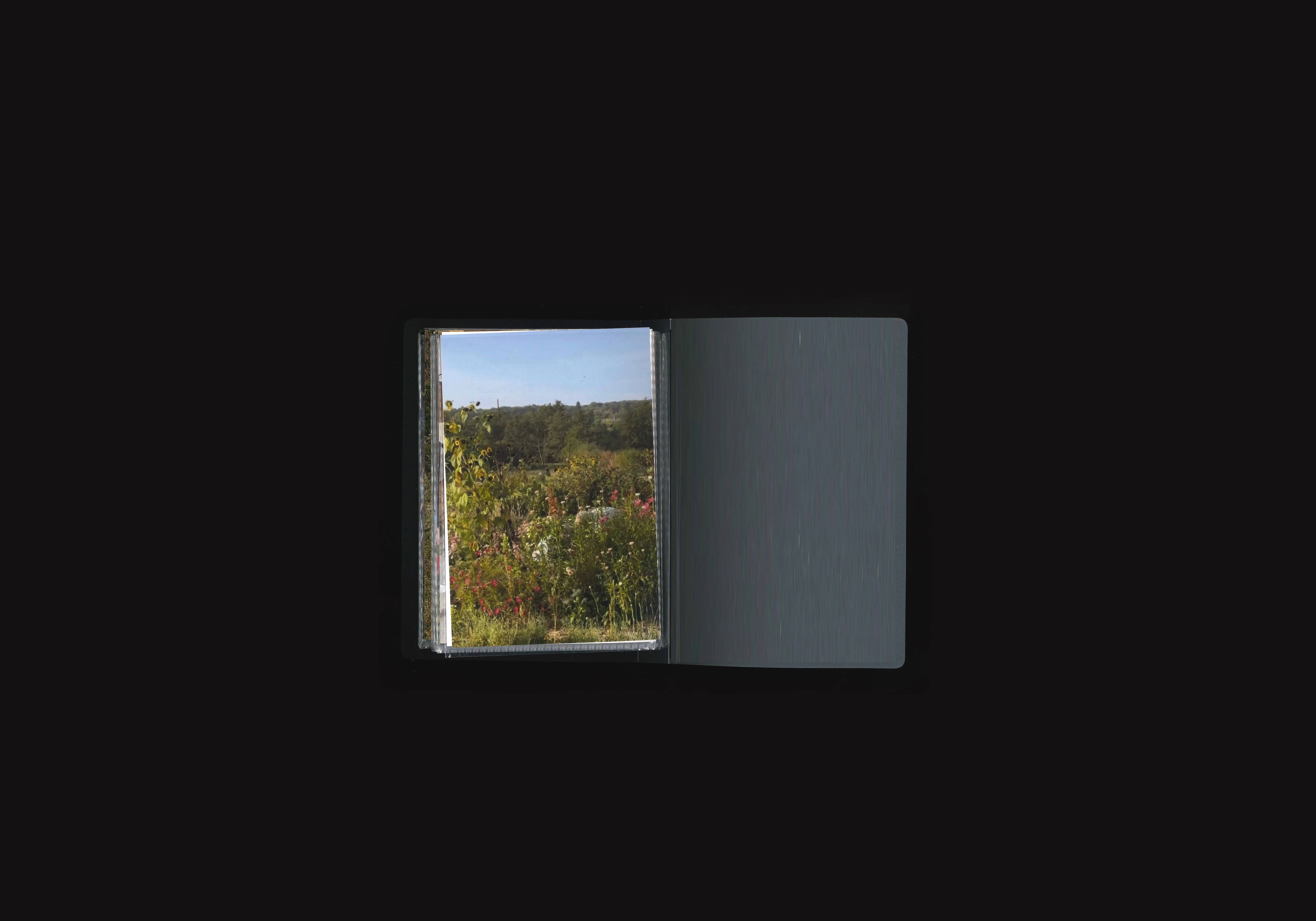 Harvest Column, image 4